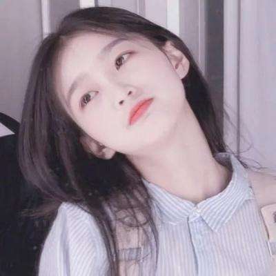 狗狗乐园最新版下载